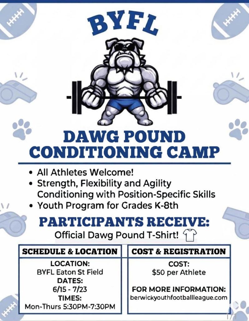 Dog pound conditioning camp flyer